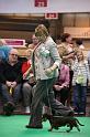 Crufts2011_2 1366